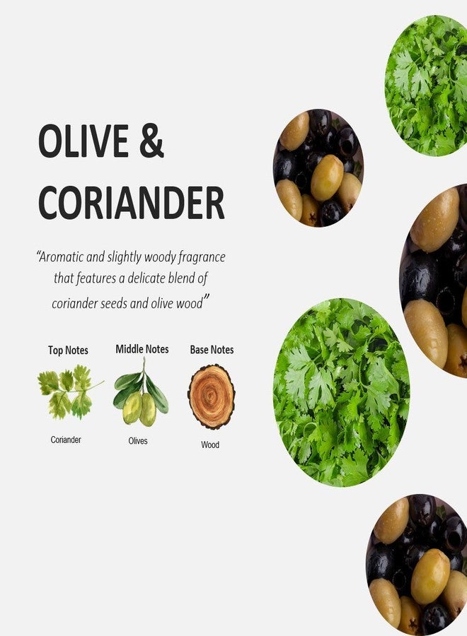Cucina Purifying Hand Wash Coriander and Olive Tree 16.9 Fl Oz Glass Bottle by Cucina - Image 2